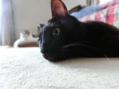 CIMG1648_convert_20120606112617.jpg