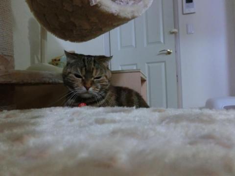 CIMG1681_convert_20120606142434.jpg