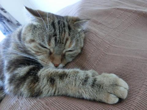 CIMG1694_convert_20120606142824.jpg
