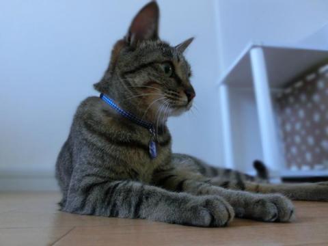 CIMG1703_convert_20120606141614.jpg