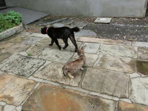 CIMG1953_convert_20120704162942.jpg