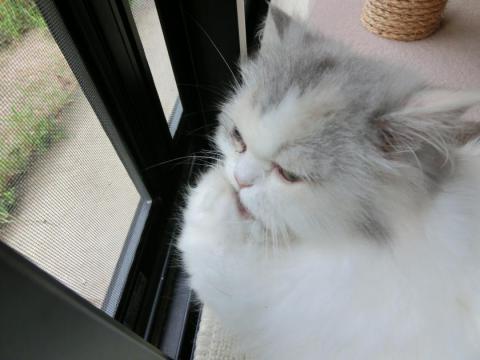 CIMG1971_convert_20120705164613.jpg