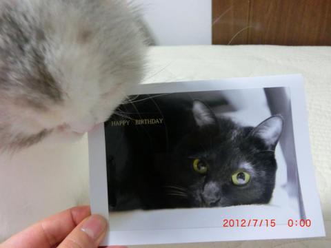 CIMG2020_convert_20120715172000.jpg