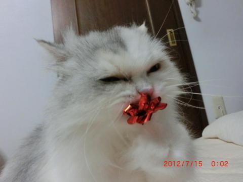 CIMG2036_convert_20120715173048.jpg