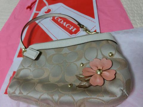 CIMG2056_convert_20120720102707.jpg