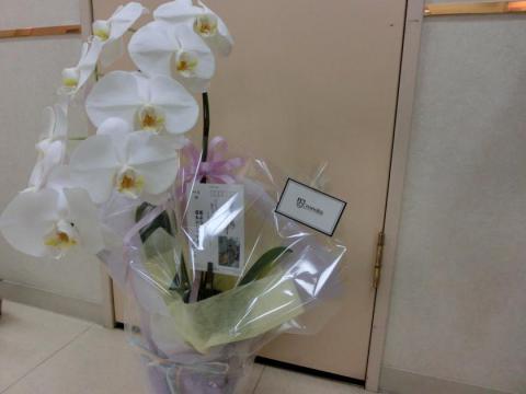 CIMG2069_convert_20120720102358.jpg