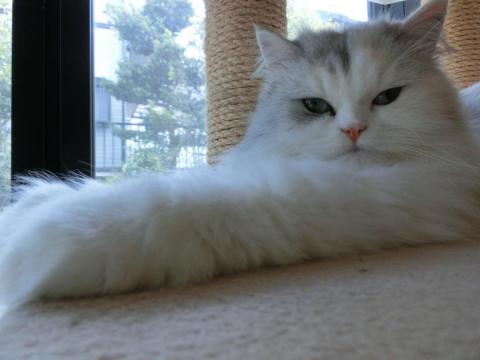 CIMG2154_convert_20120801145528.jpg