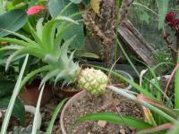 CIMG2259_convert_20120817141933.jpg