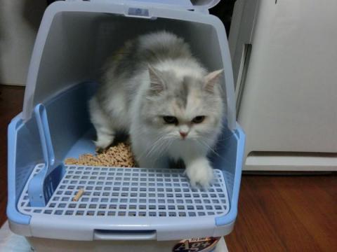 CIMG2266_convert_20120816132117.jpg