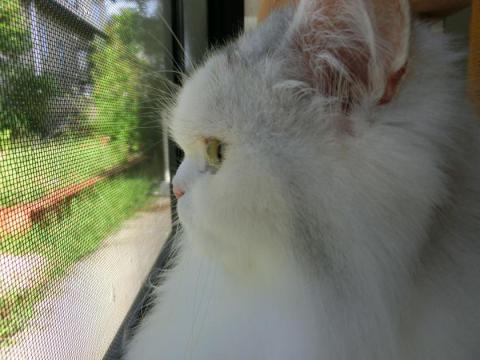 CIMG2326_convert_20120824103159.jpg