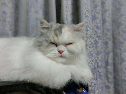 CIMG2359_convert_20120828121817.jpg