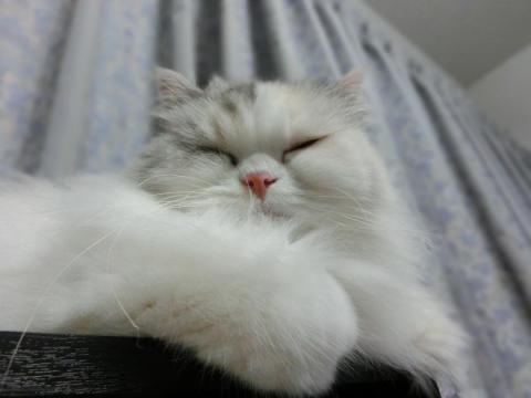 CIMG2361_convert_20120828121950.jpg
