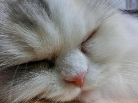 CIMG2373_convert_20120830113001.jpg