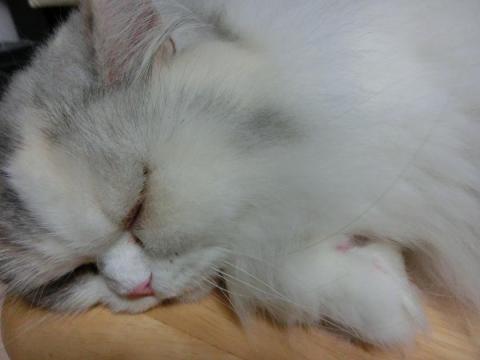 CIMG2376_convert_20120830113221.jpg