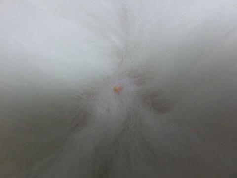 CIMG2378_convert_20120830113344.jpg