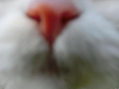 CIMG2450_convert_20120908101558.jpg