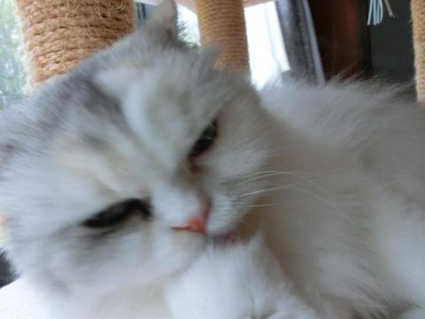 CIMG2465_convert_20120911102624.jpg