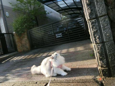CIMG2484_convert_20120915105221.jpg