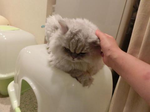 CIMG2551_convert_20120922134226.jpg