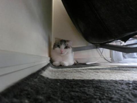 CIMG2557_convert_20120922134351.jpg