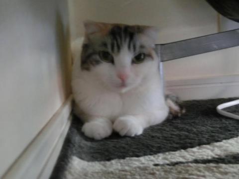 CIMG2562_convert_20120922134523.jpg