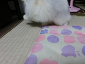 CIMG2646_convert_20120925105401.jpg