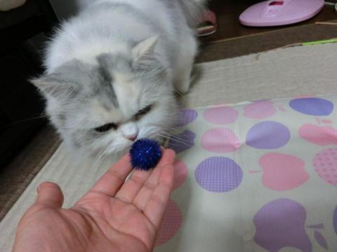 CIMG2647_convert_20120925105439.jpg