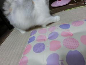 CIMG2652_convert_20120925105754.jpg