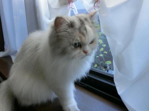 CIMG2653_convert_20120925105834.jpg