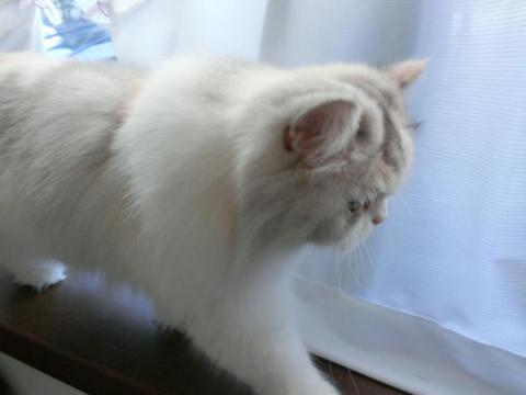 CIMG2654_convert_20120925105904.jpg