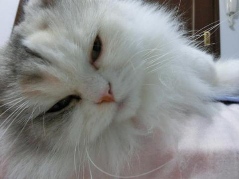 CIMG2663_convert_20120928132209.jpg