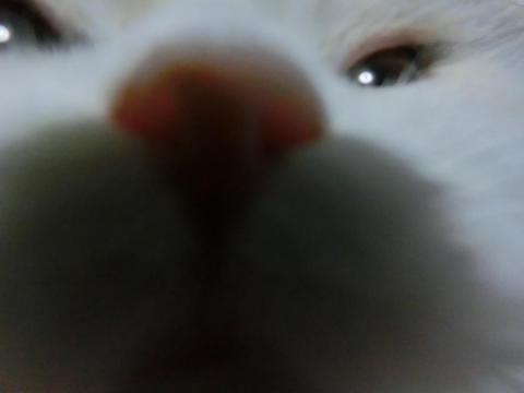 CIMG2682_convert_20121005125444.jpg