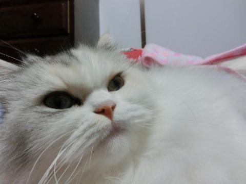 CIMG2683_convert_20121005125557.jpg