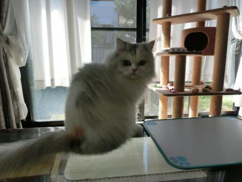 CIMG2693_convert_20121002130650.jpg