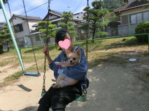 CIMG2773_convert_20121011112941_20121011121415.jpg