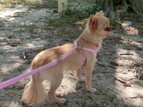 CIMG2774_convert_20121011113024.jpg
