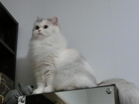 CIMG2809_convert_20121011113313.jpg