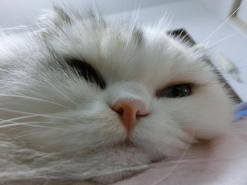 CIMG2819_convert_20121012134124.jpg