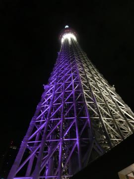 CIMG2894_convert_20121018111130.jpg