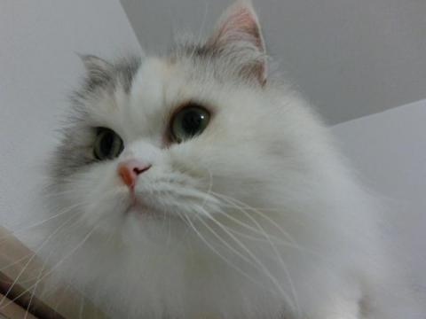 CIMG2990_convert_20121023131329.jpg