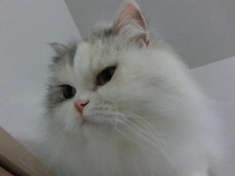 CIMG2991_convert_20121023131414.jpg