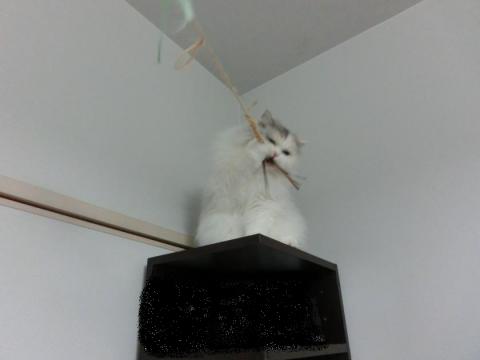 CIMG2996_convert_20121023131735.jpg