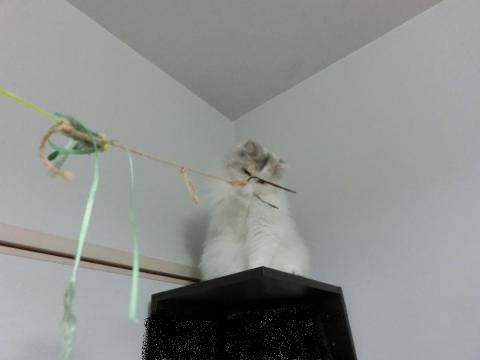 CIMG2997_convert_20121023131843.jpg