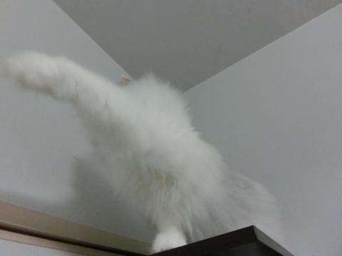 CIMG2998_convert_20121023131920.jpg