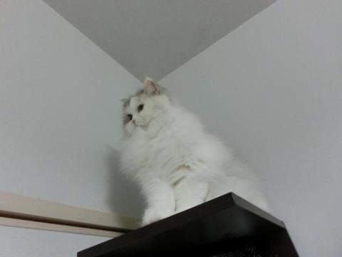 CIMG2999_convert_20121023131957.jpg