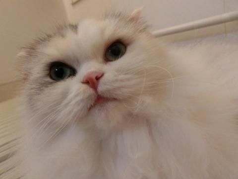CIMG3028_convert_20121021153234.jpg