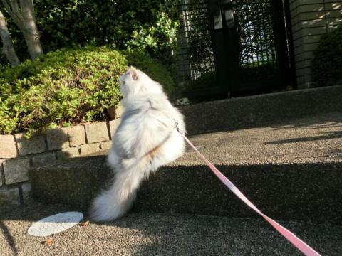 CIMG3029_convert_20121019112945.jpg