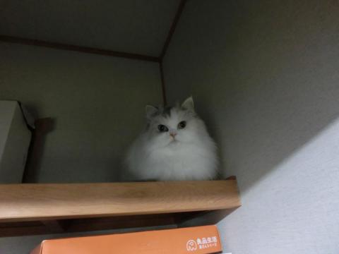 CIMG3059_convert_20121026120847.jpg