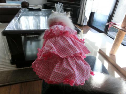 CIMG3096_convert_20121031102531.jpg