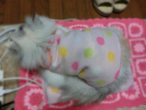 CIMG3340_convert_20121215104618.jpg